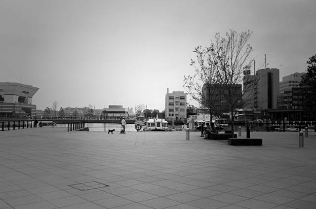 ���U���ʐ^�A���o�� f-2009.11.08Yokohama-IIIf-Summicron35mmF2-ACROS100-419.jpg 2009.11.08<BR>���l<BR>�Vf Summicron35/2<BR>ACROS100 D76 1:1