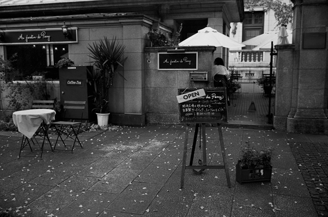 ���U���ʐ^�A���o�� f-2009.11.08Yokohama-IIIf-Summicron35mmF2-ACROS100-420.jpg 2009.11.08<BR>���l<BR>�Vf Summicron35/2<BR>ACROS100 D76 1:1
