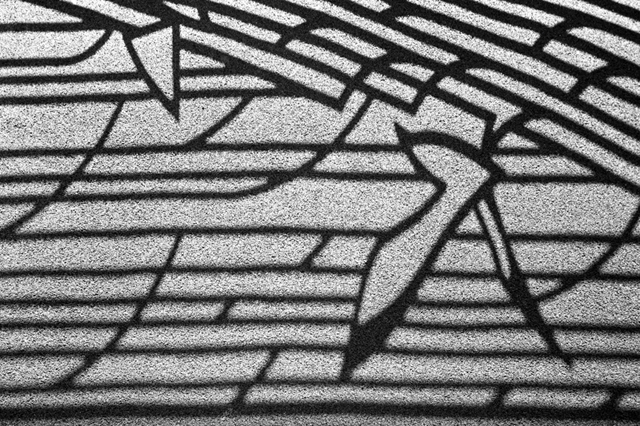 ���U���ʐ^�A���o�� f-2010.01.09-23Yokohama-IIIf-Summicron35mmF2ASPH-Y2-PRESTO400-ACROS100-001.jpg 2010.01.09-23<BR>���l<BR>�Vf Summicron35/2ASPH<BR>Y2 PRESTO400 ACROS100