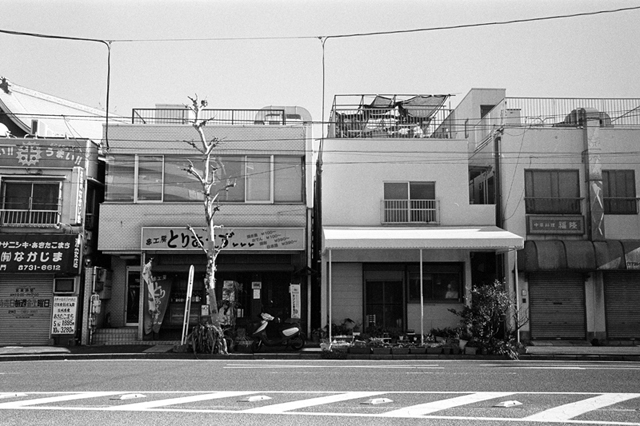 ���U���ʐ^�A���o�� f-2010.01.09-23Yokohama-IIIf-Summicron35mmF2ASPH-Y2-PRESTO400-ACROS100-010.jpg 2010.01.09-23<BR>���l<BR>�Vf Summicron35/2ASPH<BR>Y2 PRESTO400 ACROS100