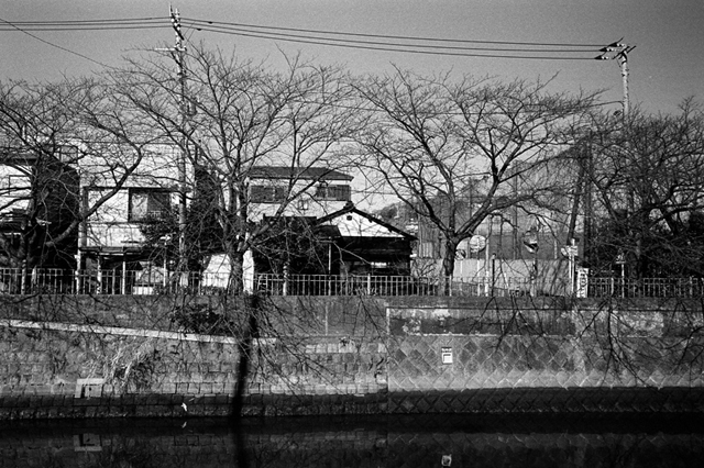 ���U���ʐ^�A���o�� f-2010.01.09-23Yokohama-IIIf-Summicron35mmF2ASPH-Y2-PRESTO400-ACROS100-013.jpg 2010.01.09-23<BR>���l<BR>�Vf Summicron35/2ASPH<BR>Y2 PRESTO400 ACROS100