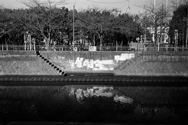 ���U���ʐ^�A���o�� f-2010.01.09-23Yokohama-IIIf-Summicron35mmF2ASPH-Y2-PRESTO400-ACROS100-015.jpg 2010.01.09-23<BR>���l<BR>�Vf Summicron35/2ASPH<BR>Y2 PRESTO400 ACROS100