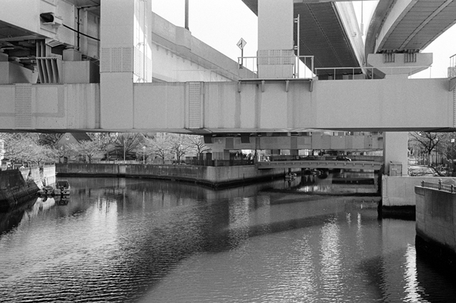 ���U���ʐ^�A���o�� f-2010.01.09-23Yokohama-IIIf-Summicron35mmF2ASPH-Y2-PRESTO400-ACROS100-016.jpg 2010.01.09-23<BR>���l<BR>�Vf Summicron35/2ASPH<BR>Y2 PRESTO400 ACROS100