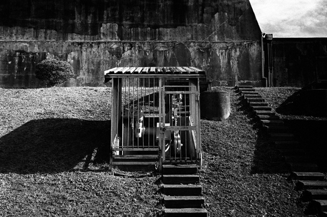 ���U���ʐ^�A���o�� f-2010.01.09-23Yokohama-IIIf-Summicron35mmF2ASPH-Y2-PRESTO400-ACROS100-029.jpg 2010.01.09-23<BR>���l<BR>�Vf Summicron35/2ASPH<BR>Y2 PRESTO400 ACROS100