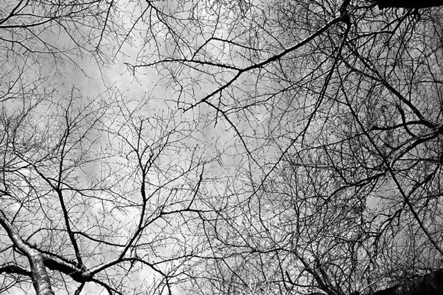 ���U���ʐ^�A���o�� f-2010.01.09-23Yokohama-IIIf-Summicron35mmF2ASPH-Y2-PRESTO400-ACROS100-031.jpg 2010.01.09-23<BR>���l<BR>�Vf Summicron35/2ASPH<BR>Y2 PRESTO400 ACROS100