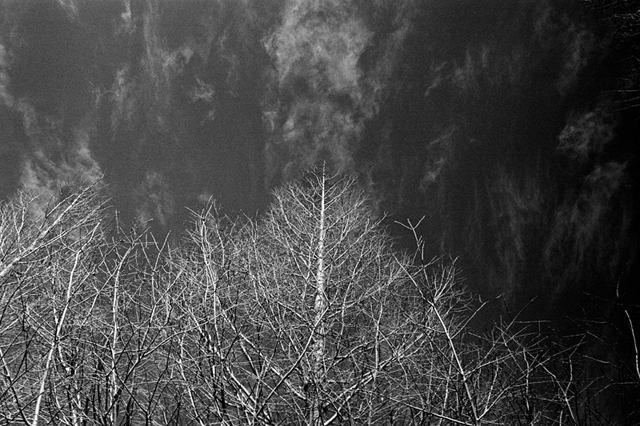 ���U���ʐ^�A���o�� f-2010.01.09-23Yokohama-IIIf-Summicron35mmF2ASPH-Y2-PRESTO400-ACROS100-033.jpg 2010.01.09-23<BR>���l<BR>�Vf Summicron35/2ASPH<BR>Y2 PRESTO400 ACROS100