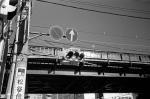 ���U���ʐ^�A���o�� 2010.01.09 23Yokohama IIIf Summicron35mmF2ASPH Y2 PRESTO400 ACROS100 006 2010.01.09-23 ���l �Vf Summicron35/2ASPH Y2 PRESTO400 ACROS100