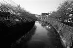 ���U���ʐ^�A���o�� 2010.01.09 23Yokohama IIIf Summicron35mmF2ASPH Y2 PRESTO400 ACROS100 007 2010.01.09-23 ���l �Vf Summicron35/2ASPH Y2 PRESTO400 ACROS100