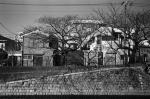 ���U���ʐ^�A���o�� 2010.01.09 23Yokohama IIIf Summicron35mmF2ASPH Y2 PRESTO400 ACROS100 011 2010.01.09-23 ���l �Vf Summicron35/2ASPH Y2 PRESTO400 ACROS100