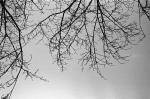 ���U���ʐ^�A���o�� 2010.01.09 23Yokohama IIIf Summicron35mmF2ASPH Y2 PRESTO400 ACROS100 012 2010.01.09-23 ���l �Vf Summicron35/2ASPH Y2 PRESTO400 ACROS100