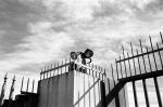 ���U���ʐ^�A���o�� 2010.01.09 23Yokohama IIIf Summicron35mmF2ASPH Y2 PRESTO400 ACROS100 027 2010.01.09-23 ���l �Vf Summicron35/2ASPH Y2 PRESTO400 ACROS100