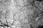 ���U���ʐ^�A���o�� 2010.01.09 23Yokohama IIIf Summicron35mmF2ASPH Y2 PRESTO400 ACROS100 031 2010.01.09-23 ���l �Vf Summicron35/2ASPH Y2 PRESTO400 ACROS100
