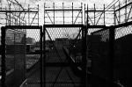 ���U���ʐ^�A���o�� 2010.01.09 23Yokohama IIIf Summicron35mmF2ASPH Y2 PRESTO400 ACROS100 035 2010.01.09-23 ���l �Vf Summicron35/2ASPH Y2 PRESTO400 ACROS100