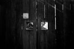 ���U���ʐ^�A���o�� 2010.01.09 23Yokohama IIIf Summicron35mmF2ASPH Y2 PRESTO400 ACROS100 039 2010.01.09-23 ���l �Vf Summicron35/2ASPH Y2 PRESTO400 ACROS100