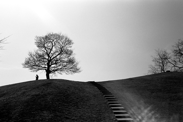 ���U���ʐ^�A���o�� f-2010.01.30-02.07Yokohama-Miura-IIIf-Summicron35mmF2-Y2-ACROS100-001.jpg 2010.01.30-02.07<BR>���l�E�O�Y<BR>�Vf Summicron35/2<BR>Y2 ACROS100 D76 1:1