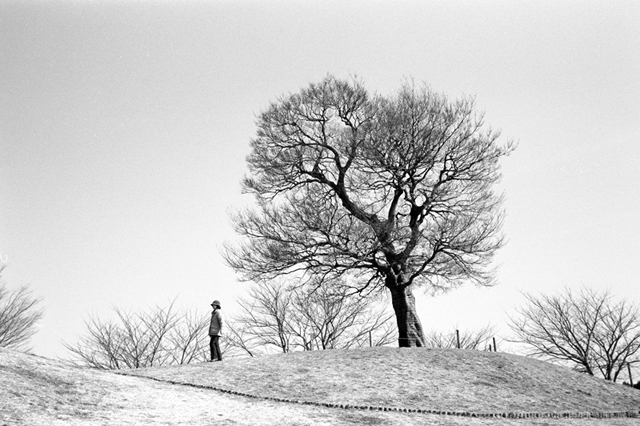 ���U���ʐ^�A���o�� f-2010.01.30-02.07Yokohama-Miura-IIIf-Summicron35mmF2-Y2-ACROS100-005.jpg 2010.01.30-02.07<BR>���l�E�O�Y<BR>�Vf Summicron35/2<BR>Y2 ACROS100 D76 1:1