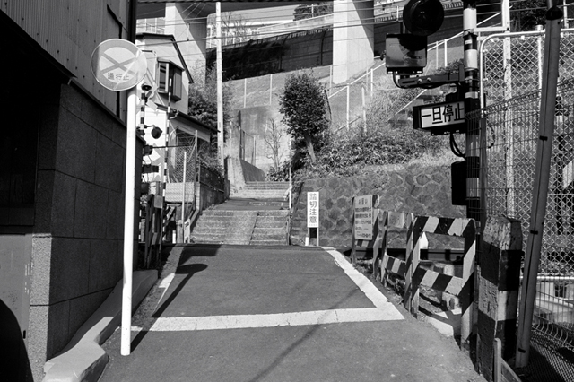 ���U���ʐ^�A���o�� f-2010.01.30-02.07Yokohama-Miura-IIIf-Summicron35mmF2-Y2-ACROS100-006.jpg 2010.01.30-02.07<BR>���l�E�O�Y<BR>�Vf Summicron35/2<BR>Y2 ACROS100 D76 1:1