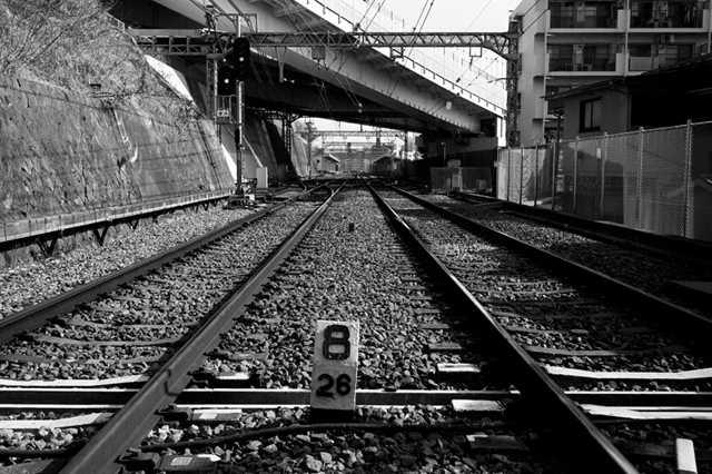 ���U���ʐ^�A���o�� f-2010.01.30-02.07Yokohama-Miura-IIIf-Summicron35mmF2-Y2-ACROS100-007.jpg 2010.01.30-02.07<BR>���l�E�O�Y<BR>�Vf Summicron35/2<BR>Y2 ACROS100 D76 1:1