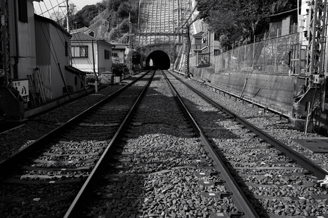 ���U���ʐ^�A���o�� f-2010.01.30-02.07Yokohama-Miura-IIIf-Summicron35mmF2-Y2-ACROS100-009.jpg 2010.01.30-02.07<BR>���l�E�O�Y<BR>�Vf Summicron35/2<BR>Y2 ACROS100 D76 1:1