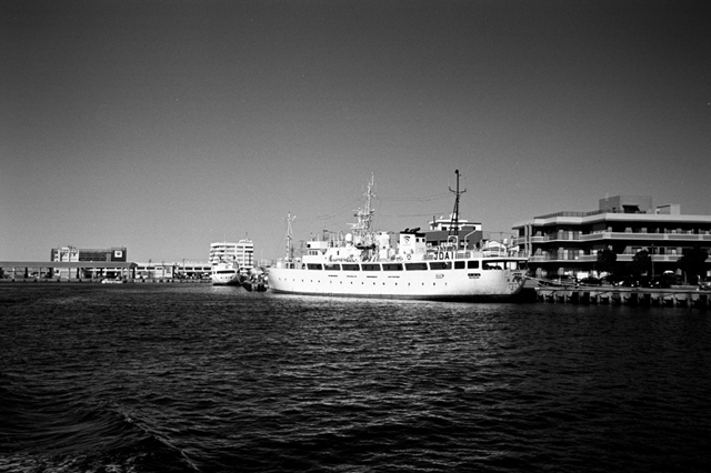 ���U���ʐ^�A���o�� f-2010.01.30-02.07Yokohama-Miura-IIIf-Summicron35mmF2-Y2-ACROS100-012.jpg 2010.01.30-02.07<BR>���l�E�O�Y<BR>�Vf Summicron35/2<BR>Y2 ACROS100 D76 1:1