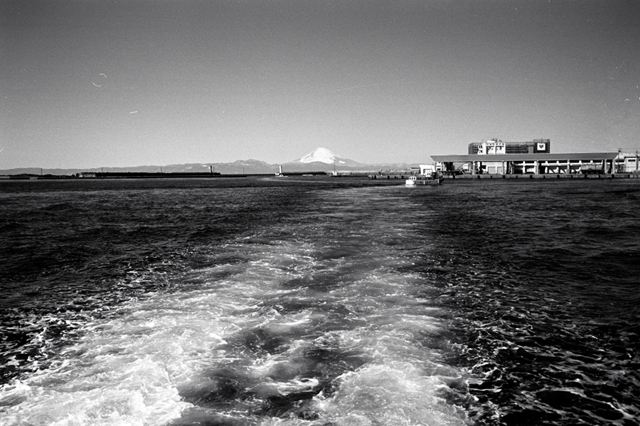 ���U���ʐ^�A���o�� f-2010.01.30-02.07Yokohama-Miura-IIIf-Summicron35mmF2-Y2-ACROS100-013.jpg 2010.01.30-02.07<BR>���l�E�O�Y<BR>�Vf Summicron35/2<BR>Y2 ACROS100 D76 1:1