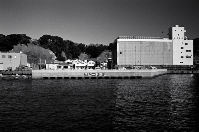 ���U���ʐ^�A���o�� f-2010.01.30-02.07Yokohama-Miura-IIIf-Summicron35mmF2-Y2-ACROS100-014.jpg 2010.01.30-02.07<BR>���l�E�O�Y<BR>�Vf Summicron35/2<BR>Y2 ACROS100 D76 1:1