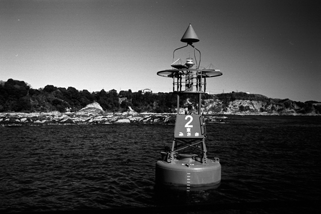 ���U���ʐ^�A���o�� f-2010.01.30-02.07Yokohama-Miura-IIIf-Summicron35mmF2-Y2-ACROS100-017.jpg 2010.01.30-02.07<BR>���l�E�O�Y<BR>�Vf Summicron35/2<BR>Y2 ACROS100 D76 1:1
