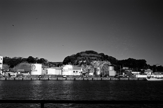 ���U���ʐ^�A���o�� f-2010.01.30-02.07Yokohama-Miura-IIIf-Summicron35mmF2-Y2-ACROS100-019.jpg 2010.01.30-02.07<BR>���l�E�O�Y<BR>�Vf Summicron35/2<BR>Y2 ACROS100 D76 1:1