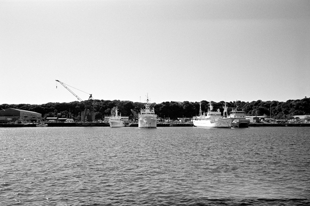 ���U���ʐ^�A���o�� f-2010.01.30-02.07Yokohama-Miura-IIIf-Summicron35mmF2-Y2-ACROS100-020.jpg 2010.01.30-02.07<BR>���l�E�O�Y<BR>�Vf Summicron35/2<BR>Y2 ACROS100 D76 1:1
