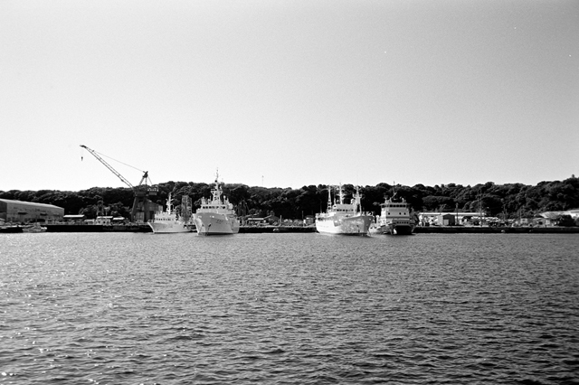 ���U���ʐ^�A���o�� f-2010.01.30-02.07Yokohama-Miura-IIIf-Summicron35mmF2-Y2-ACROS100-021.jpg 2010.01.30-02.07<BR>���l�E�O�Y<BR>�Vf Summicron35/2<BR>Y2 ACROS100 D76 1:1