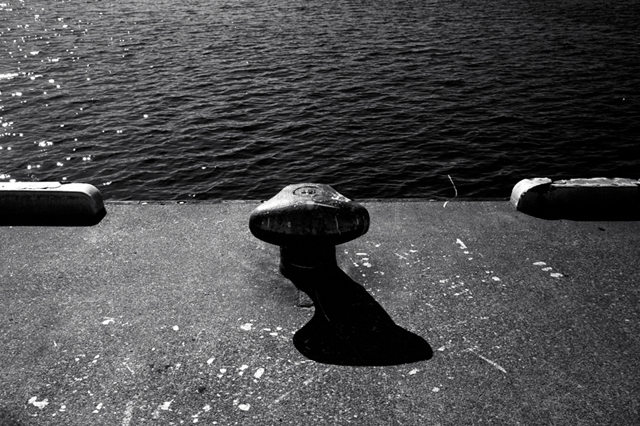 ���U���ʐ^�A���o�� f-2010.01.30-02.07Yokohama-Miura-IIIf-Summicron35mmF2-Y2-ACROS100-028.jpg 2010.01.30-02.07<BR>���l�E�O�Y<BR>�Vf Summicron35/2<BR>Y2 ACROS100 D76 1:1
