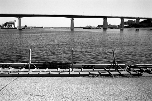 ���U���ʐ^�A���o�� f-2010.01.30-02.07Yokohama-Miura-IIIf-Summicron35mmF2-Y2-ACROS100-034.jpg 2010.01.30-02.07<BR>���l�E�O�Y<BR>�Vf Summicron35/2<BR>Y2 ACROS100 D76 1:1