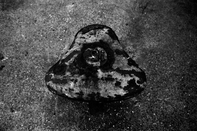 ���U���ʐ^�A���o�� f-2010.01.30-02.07Yokohama-Miura-IIIf-Summicron35mmF2-Y2-ACROS100-035.jpg 2010.01.30-02.07<BR>���l�E�O�Y<BR>�Vf Summicron35/2<BR>Y2 ACROS100 D76 1:1