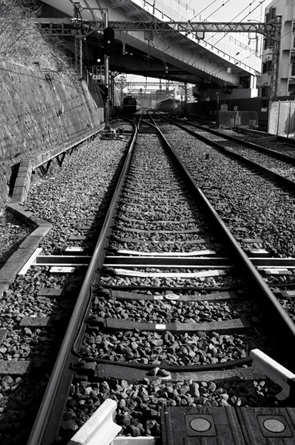 ���U���ʐ^�A���o�� f-2010.01.30-02.07Yokohama-Miura-IIIf-Summicron35mmF2-Y2-ACROS100-037.jpg 2010.01.30-02.07<BR>���l�E�O�Y<BR>�Vf Summicron35/2<BR>Y2 ACROS100 D76 1:1