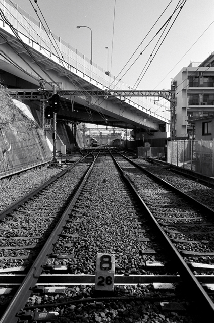 ���U���ʐ^�A���o�� f-2010.01.30-02.07Yokohama-Miura-IIIf-Summicron35mmF2-Y2-ACROS100-039.jpg 2010.01.30-02.07<BR>���l�E�O�Y<BR>�Vf Summicron35/2<BR>Y2 ACROS100 D76 1:1