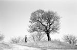 ���U���ʐ^�A���o�� 2010.01.30 02.07Yokohama Miura IIIf Summicron35mmF2 Y2 ACROS100 005 2010.01.30-02.07 ���l�E�O�Y �Vf Summicron35/2 Y2 ACROS100 D76 1:1