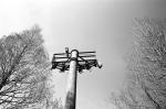 ���U���ʐ^�A���o�� 2010.01.30 02.07Yokohama Miura IIIf Summicron35mmF2 Y2 ACROS100 011 2010.01.30-02.07 ���l�E�O�Y �Vf Summicron35/2 Y2 ACROS100 D76 1:1