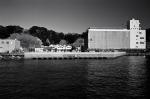 ���U���ʐ^�A���o�� 2010.01.30 02.07Yokohama Miura IIIf Summicron35mmF2 Y2 ACROS100 014 2010.01.30-02.07 ���l�E�O�Y �Vf Summicron35/2 Y2 ACROS100 D76 1:1