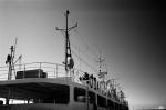 ���U���ʐ^�A���o�� 2010.01.30 02.07Yokohama Miura IIIf Summicron35mmF2 Y2 ACROS100 029 2010.01.30-02.07 ���l�E�O�Y �Vf Summicron35/2 Y2 ACROS100 D76 1:1