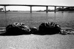 ���U���ʐ^�A���o�� 2010.01.30 02.07Yokohama Miura IIIf Summicron35mmF2 Y2 ACROS100 033 2010.01.30-02.07 ���l�E�O�Y �Vf Summicron35/2 Y2 ACROS100 D76 1:1