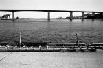 ���U���ʐ^�A���o�� 2010.01.30 02.07Yokohama Miura IIIf Summicron35mmF2 Y2 ACROS100 034 2010.01.30-02.07 ���l�E�O�Y �Vf Summicron35/2 Y2 ACROS100 D76 1:1