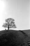 ���U���ʐ^�A���o�� 2010.01.30 02.07Yokohama Miura IIIf Summicron35mmF2 Y2 ACROS100 036 2010.01.30-02.07 ���l�E�O�Y �Vf Summicron35/2 Y2 ACROS100 D76 1:1