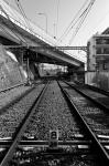 ���U���ʐ^�A���o�� 2010.01.30 02.07Yokohama Miura IIIf Summicron35mmF2 Y2 ACROS100 039 2010.01.30-02.07 ���l�E�O�Y �Vf Summicron35/2 Y2 ACROS100 D76 1:1