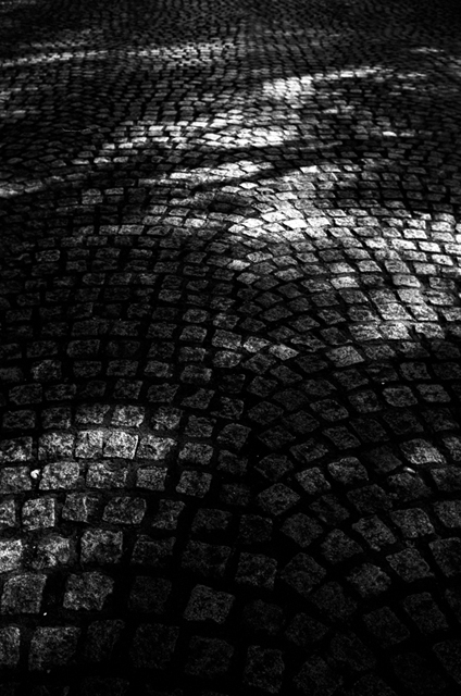 ���U���ʐ^�A���o�� f-2010.02.14Yokohama-IIIf-Summaron35mmF3.5-Y2-ACROS100-032.jpg 2010.02.14<BR>���l<BR>�Vf Summaron35/3.5<BR>Y2 ACROS100 D76 1:1