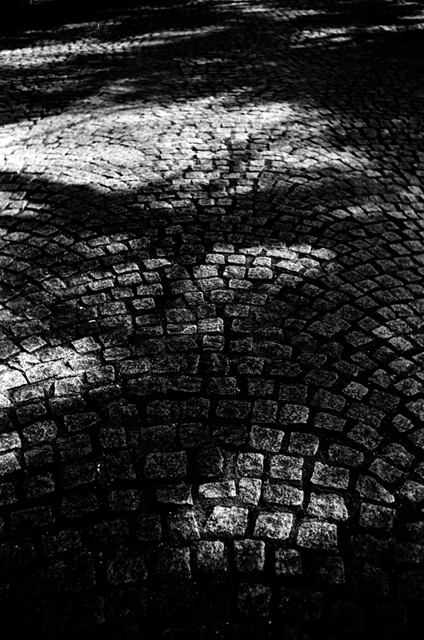 ���U���ʐ^�A���o�� f-2010.02.14Yokohama-IIIf-Summaron35mmF3.5-Y2-ACROS100-034.jpg 2010.02.14<BR>���l<BR>�Vf Summaron35/3.5<BR>Y2 ACROS100 D76 1:1