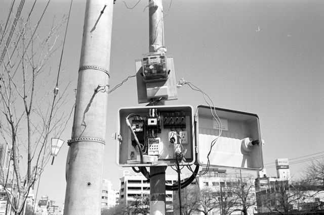���U���ʐ^�A���o�� f-2010.03.14Yokohama-IIIf-Summicron35mmF2-ACROS100-016.jpg 2010.03.14-22<BR>���l�E�H�c<BR>�Vf Summicron35/2<BR>ACROS100 D76 1:1