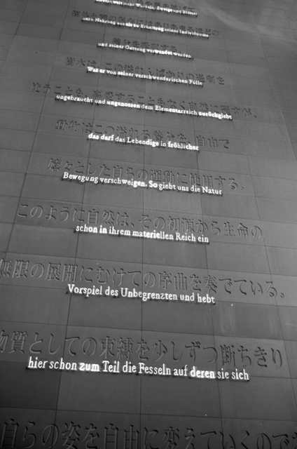 ���U���ʐ^�A���o�� f-2010.03.14Yokohama-Ikon-Summicron35mmF2-ACROS100-039.jpg 2010.03.14-22<BR>���l�E�H�c<BR>�Vf Summicron35/2<BR>ACROS100 D76 1:1