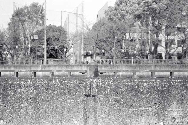 ���U���ʐ^�A���o�� f-2010.03.21Yokohama-Ikon-Summicron35mmF2-ACROS100-062.jpg 2010.03.14-22<BR>���l�E�H�c<BR>�Vf Summicron35/2<BR>ACROS100 D76 1:1