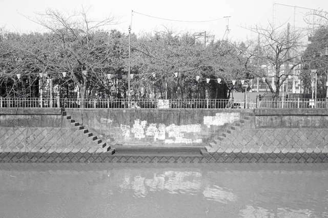 ���U���ʐ^�A���o�� f-2010.03.21Yokohama-Ikon-Summicron35mmF2-ACROS100-063.jpg 2010.03.14-22<BR>���l�E�H�c<BR>�Vf Summicron35/2<BR>ACROS100 D76 1:1