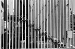 ���U���ʐ^�A���o�� 2010.03.14Yokohama IIIf Summicron35mmF2 ACROS100 015 2010.03.14-22 ���l�E�H�c �Vf Summicron35/2 ACROS100 D76 1:1